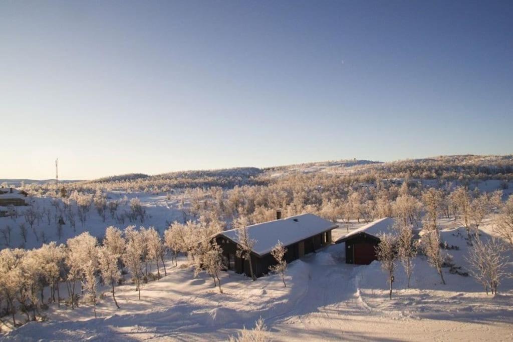 Nydelig Og Moderne Hytte Pa Kikut Geilo - 6 Senger, 4 Soverom Og Jacuzziヴィラ エクステリア 写真